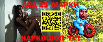 apvp Свободный